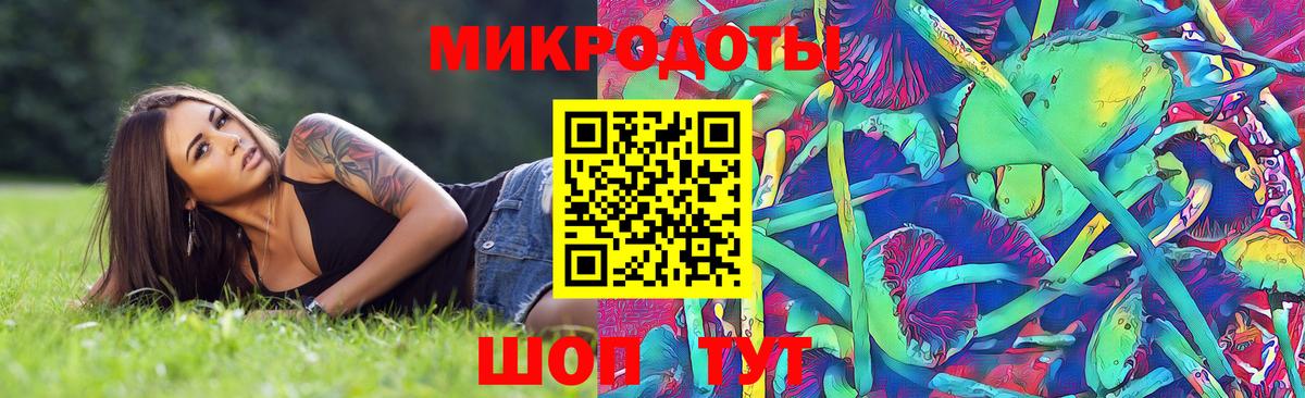 Старая Купавна  Галлюциногенные грибы прущие грибы  Вход с VPN 